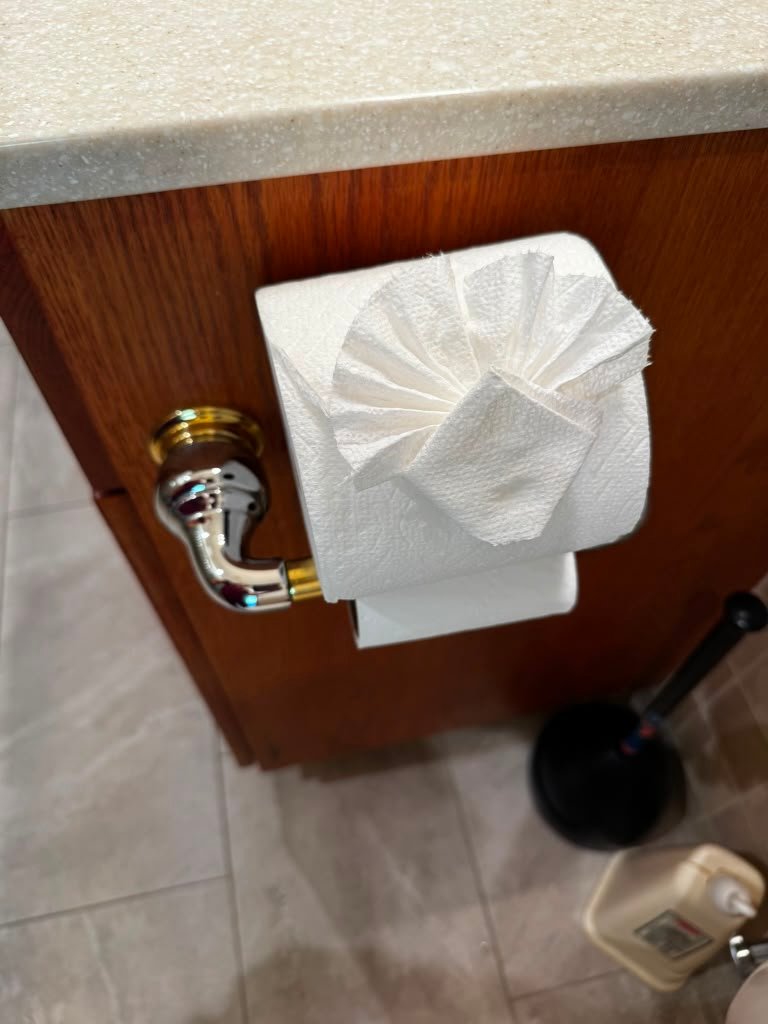 Decorative toilet paper arrangement